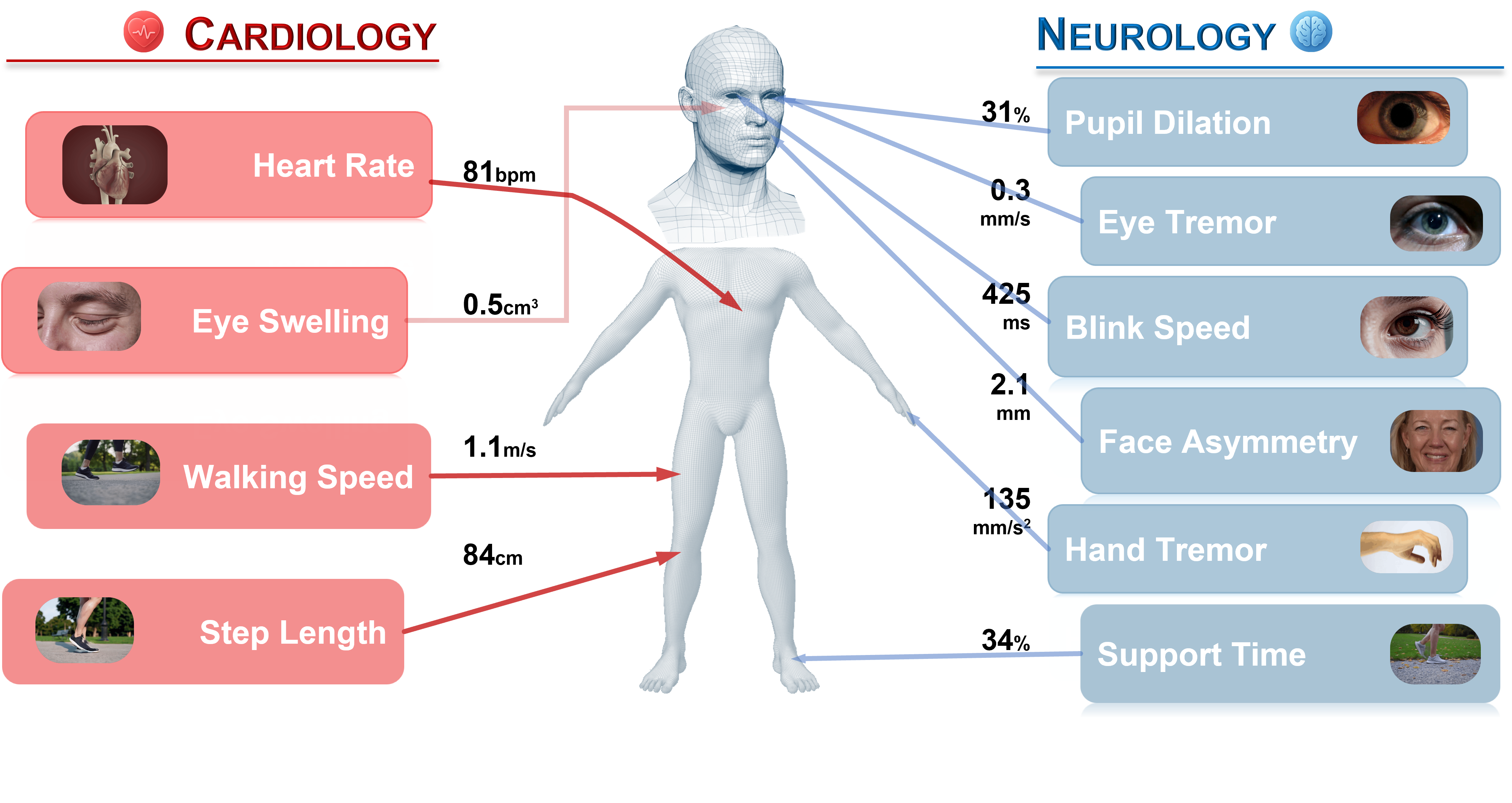 HealthySelfie — 10 biomarkers, Head-to-Toe
